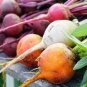 50 Pcs Beetroot Mixed Blood Yellow White Color Vegetable Seeds