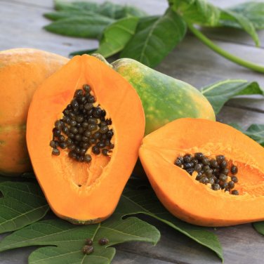 6 Pcs Hainan Red Papaya Green Skin Fruit Seeds
