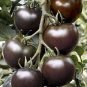 20 Pcs 'Black Pearl' Bright Black Round Cherry Tomato Seeds