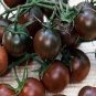 20 Pcs 'Black Pearl' Bright Black Round Cherry Tomato Seeds