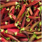10 Pcs Red Burgundy Okra Herb Seeds 10 Pcs Red Burgundy Okra Herb Seeds