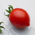 100 Pcs Riesentraube Cherry Tomato Seeds