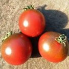 100 Pcs Rosella Cherry Tomato Seeds