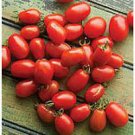 20 Pcs Red Roma Cherry Tomato, Edible Organic Fruits 20 Pcs Red Roma Cherry Tomato, Edible Organic Fruits