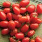 20 Pcs Red Roma Cherry Tomato, Edible Organic Fruits