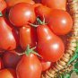 20 Pcs Red Pear Cherry Tomato, Edible Organic Tomatoes