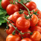 20 Pcs Milky Red Cherry Tomato, Edible Organic Fruits