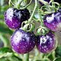 20 Pcs Asian Purple / Blue Tomato, Organic Edible Tomato, Non-gmo seeds