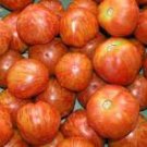 100 Pcs Heirloom Red Zebra Tomato with Golden Stripe Organic Seeds