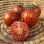 100 Pcs Heirloom Red Zebra Tomato with Golden Stripe Organic Seeds