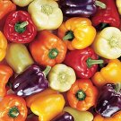 20 Pcs Fresh Mix Sweet Bell Pepper Seeds