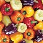 20 Pcs Fresh Mix Sweet Bell Pepper Seeds