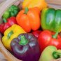 20 Pcs Fresh Mix Sweet Bell Pepper Seeds
