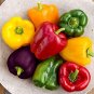 20 Pcs Fresh Mix Sweet Bell Pepper Seeds