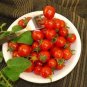 100 Pcs Adelebe Bright Red Big Tomato Seeds