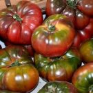 10 Pcs Black Krim Tomato ''Black Sea Man'' Russia Ukrain Heirloom Seed