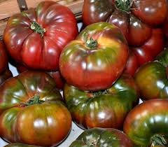 10 Pcs Black Krim Tomato ''Black Sea Man'' Russia Ukrain Heirloom Seed