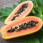 8 Pcs Fresh Organic Pawpaw Seeds Giant Red Lady Exotic Carica Papaya