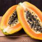 8 Pcs Fresh Organic Pawpaw Seeds Giant Red Lady Exotic Carica Papaya