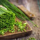 50 Pcs Yellow Chinese Chives Seeds, NON-GMO seeds, Great Vegetables Hotbed Chives 50 Pcs Yellow Chinese Chives Seeds, NON-GMO seeds, Great Vegetables Hotbed Chives