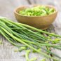 50 Pcs Yellow Chinese Chives Seeds, NON-GMO seeds, Great Vegetables Hotbed Chives