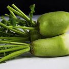 2 Pcs weet Green Radish Chinese Turnip Organic Green Vegetable Seed 2 Pcs weet Green Radish Chinese Turnip Organic Green Vegetable Seed