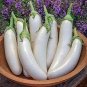 20 Pcs Long White Eggplants, Organic Heirloom Vegetables Seeds