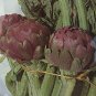 4 Pcs Rare Italian Artichoke Seeds