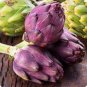 4 Pcs Rare Italian Artichoke Seeds