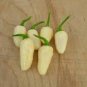 20 Pcs Hot Pepper - Habanero White Seeds