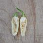 20 Pcs Hot Pepper - Habanero White Seeds
