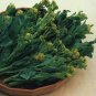120 Pcs Broccoli - Early White Sprouting Green Vegetable Seeds