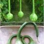 10 Pcs Long Handle Dipper Gourd