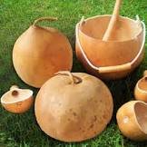 10 Pcs African Bushel Basket Groud Lagenaria siceraria
