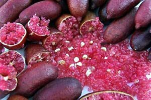 20 Pcs Ice Pink Finger Fruit Lime