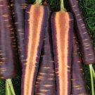 30 Pcs AFGHAN Purple (Black) Carrot Superfood Amazing Colorful High Yield