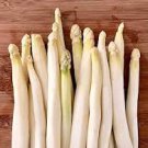 20 Pcs White Asparagus Seeds, Spring Vegetables Sparrowgrass