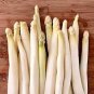 20 Pcs White Asparagus Seeds, Spring Vegetables Sparrowgrass