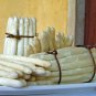 20 Pcs White Asparagus Seeds, Spring Vegetables Sparrowgrass