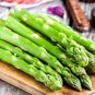 20 Pcs Green Asparagus Spring Vegetables asperge sparrowgrass