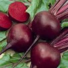 50 Pcs Dark Red Beet Organic Seeds 50 Pcs Dark Red Beet Organic Seeds