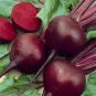 50 Pcs Dark Red Beet Organic Seeds