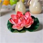 5 Pcs Lotus 'Bride Gift' big red double flowers