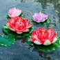5 Pcs Lotus 'Bride Gift' big red double flowers