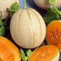 10 Pcs Malaga Sweet Melon Seeds