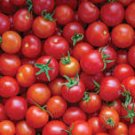 100 Pcs Dark Red Tomato big truss sweet tomato vegetables 100 Pcs Dark Red Tomato big truss sweet tomato vegetables