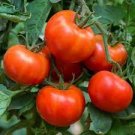 100 Pcs Chocolate Ruffled Tomato giant organic tasty garden vegetables