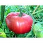 100 Pcs Chocolate Ruffled Tomato giant organic tasty garden vegetables