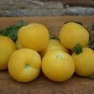100 Pcs Tomato Bright Golden Peach Fruit Seeds 100 Pcs Tomato Bright Golden Peach Fruit Seeds
