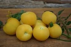100 Pcs Tomato Bright Golden Peach Fruit Seeds